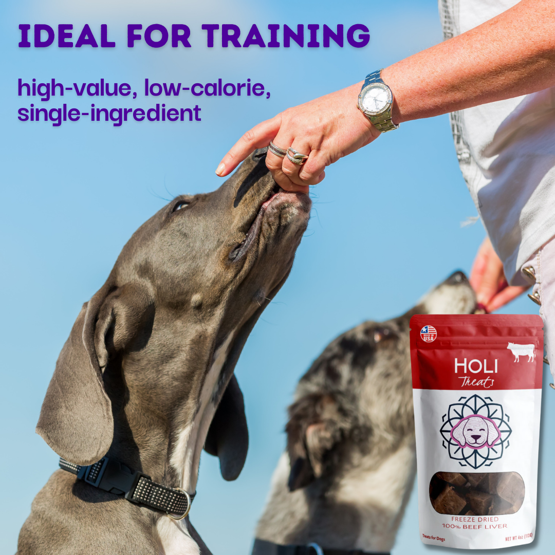 HOLI Freeze-Dried Beef Liver Dog Treats used as a training reward