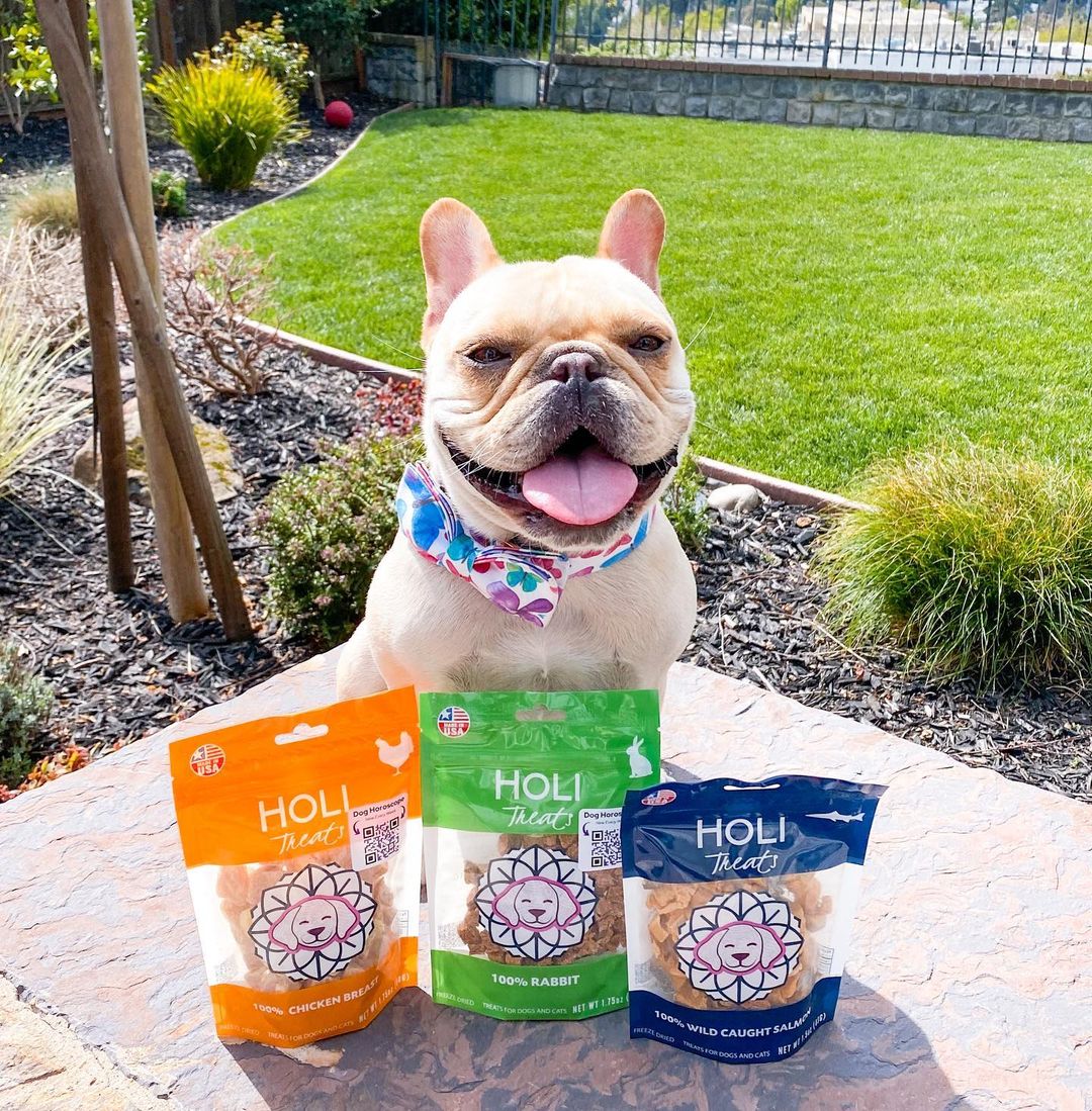 Freeze-Dried Rabbit Dog Treats
