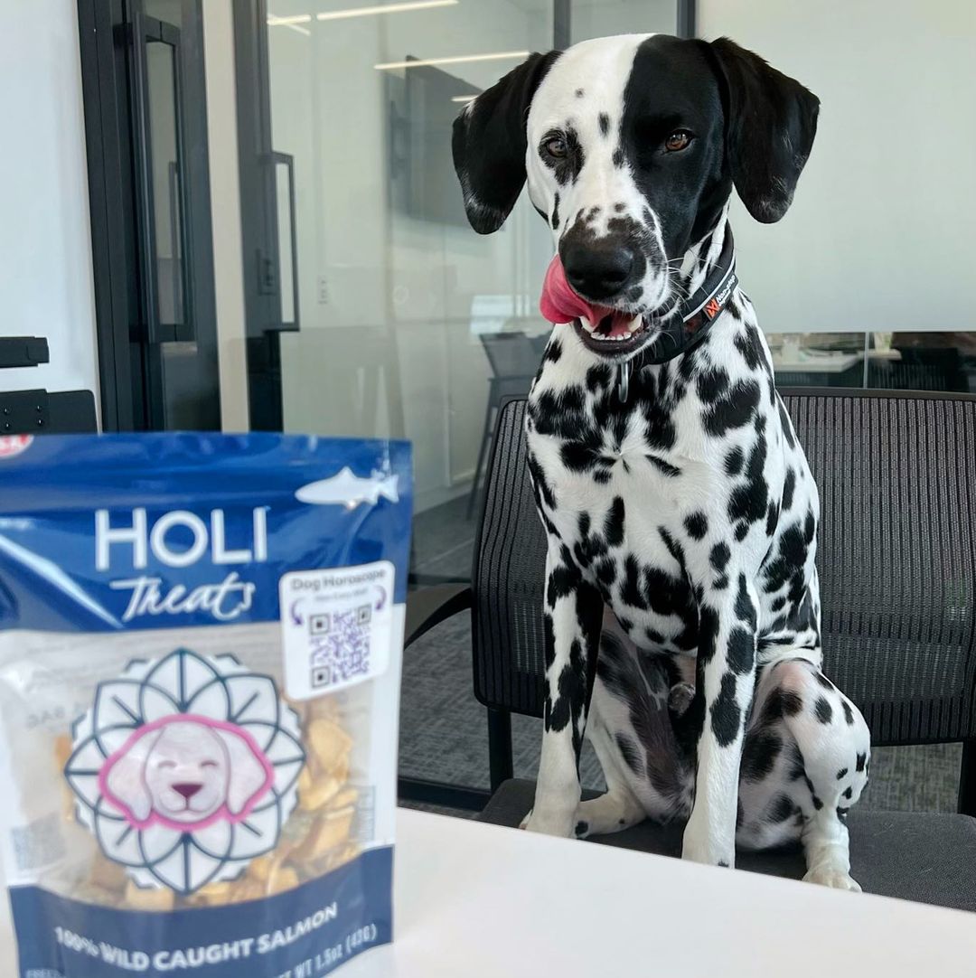 Additional view of Wild Caught Salmon Dog Treats — view 4