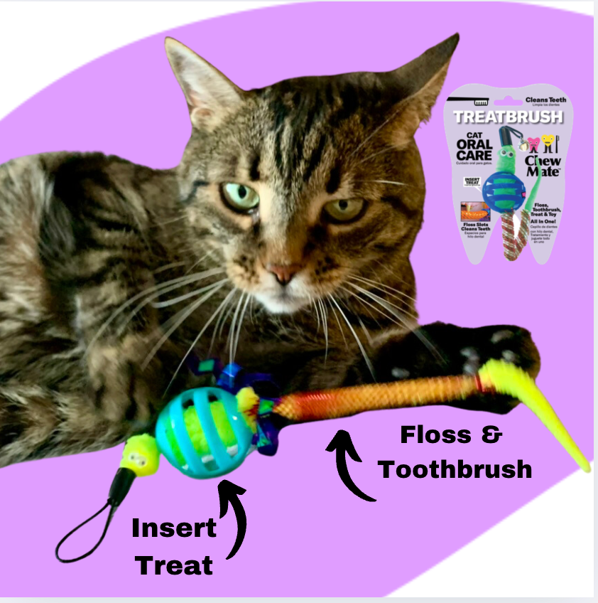 Oral Care Floss & Treat Toothbrush Toy for Cats - Single product detail 4