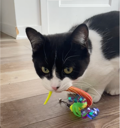 Oral Care Floss & Treat Toothbrush Toy for Cats - Single product detail 5