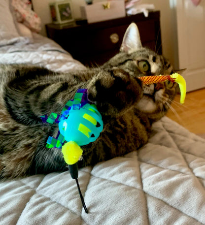 Oral Care Floss & Treat Toothbrush Toy for Cats - Single product detail 6