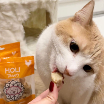 Cat pictured with a HOLI freeze-dried chicken breast treat