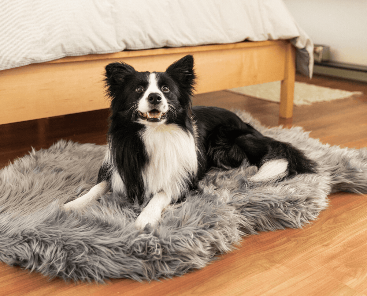 Additional view of PupRug® Faux Fur Orthopedic Dog Bed - Curve Charcoal Grey — view 9