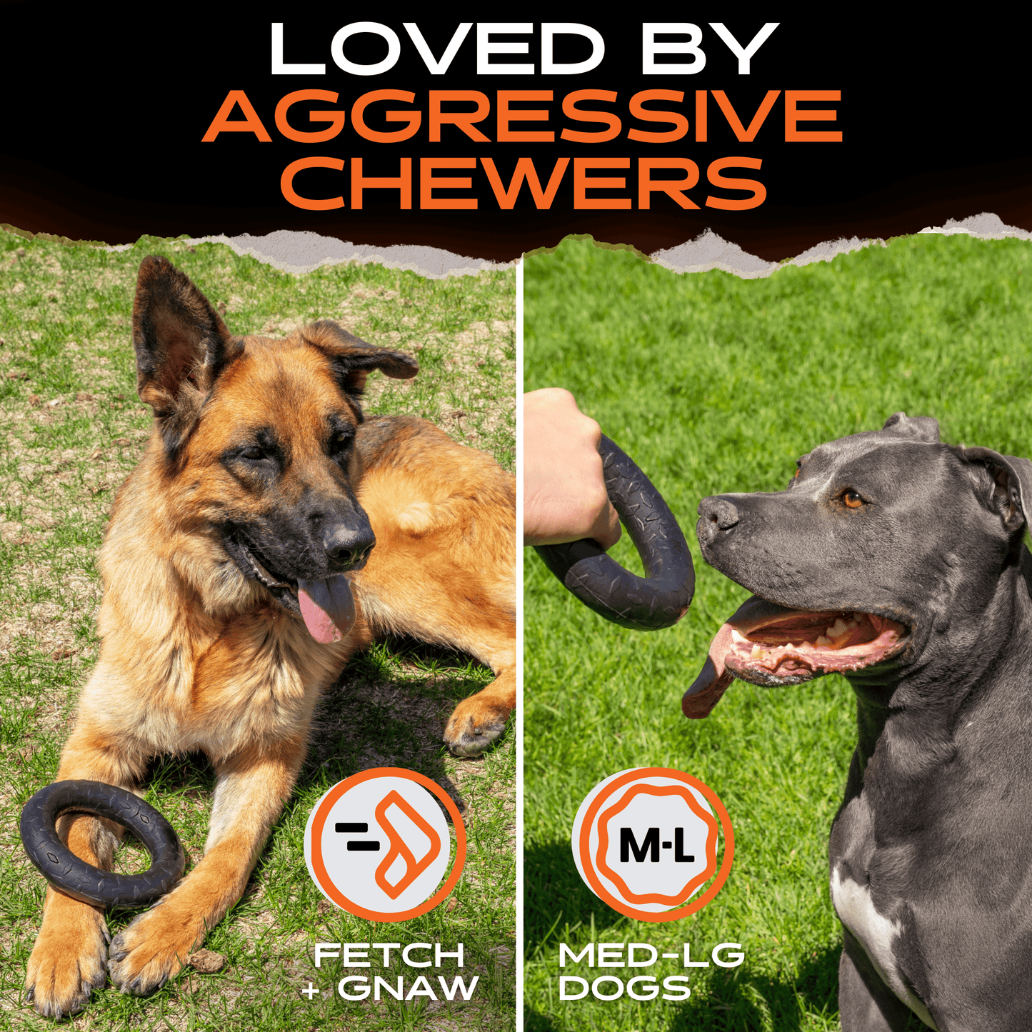 Two dogs with chew toys and text indicating product suitability for 'aggressive chewers'.