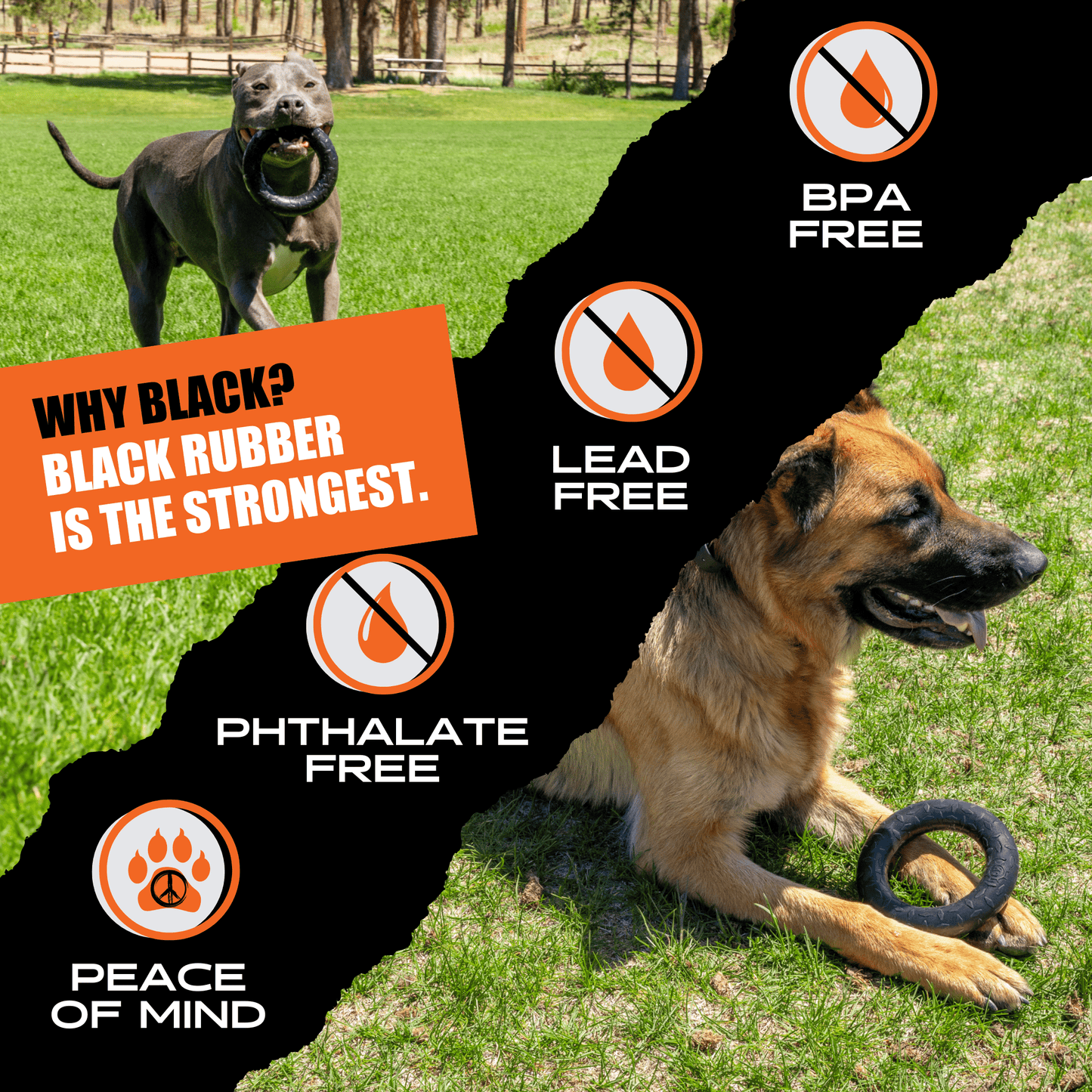 Two dogs playing with a black rubber toy on grass, with product safety features highlighted.