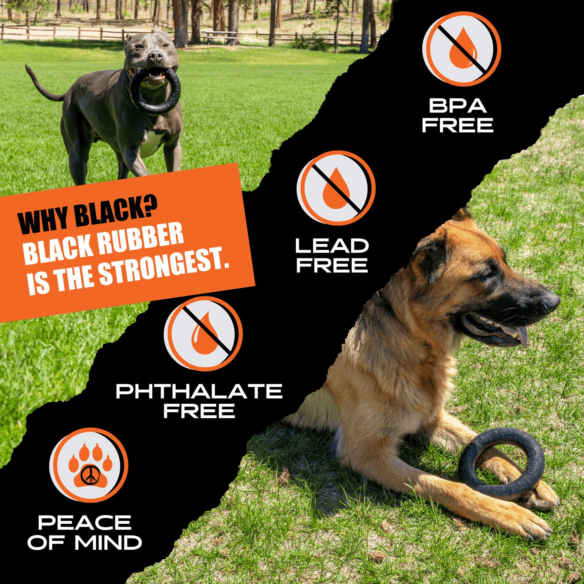 Two dogs playing with a black rubber toy on grass, with product safety features highlighted.