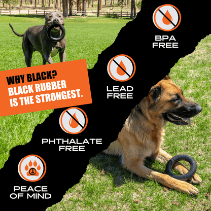 Two dogs playing with a black rubber toy on grass, with product safety features highlighted.
