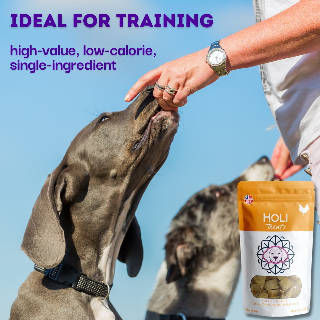 HOLI Freeze-Dried Chicken Breast Dog Treats used as a training reward