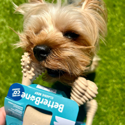 Small dog holding a Better Bone dog chew toy on a grassy background