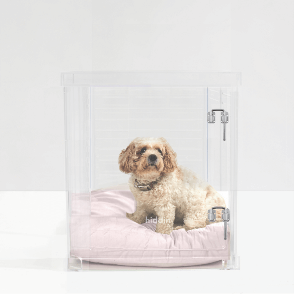 Clear acrylic medium pet crate with silver latch