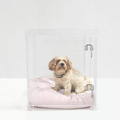 Clear acrylic medium pet crate with silver latch
