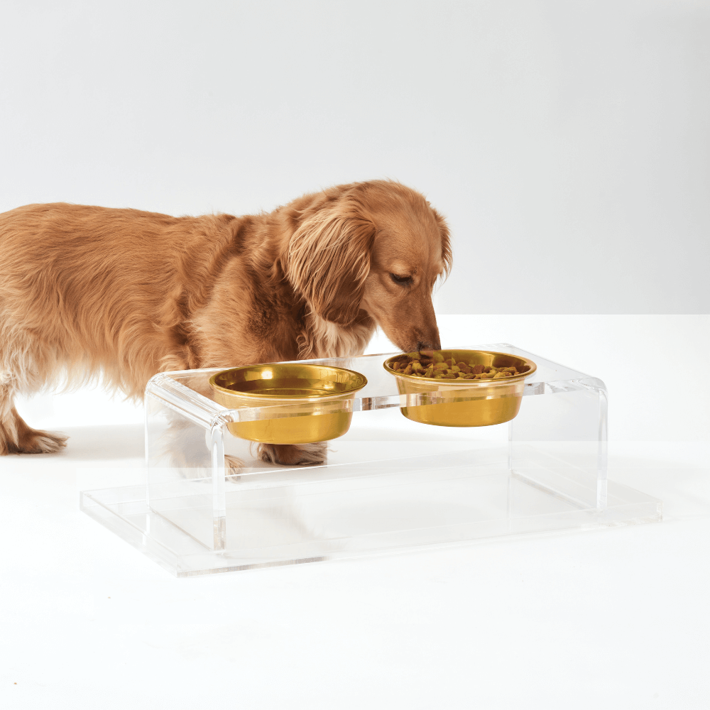 Clear overflow tray shown with Hiddin elevated feeder
