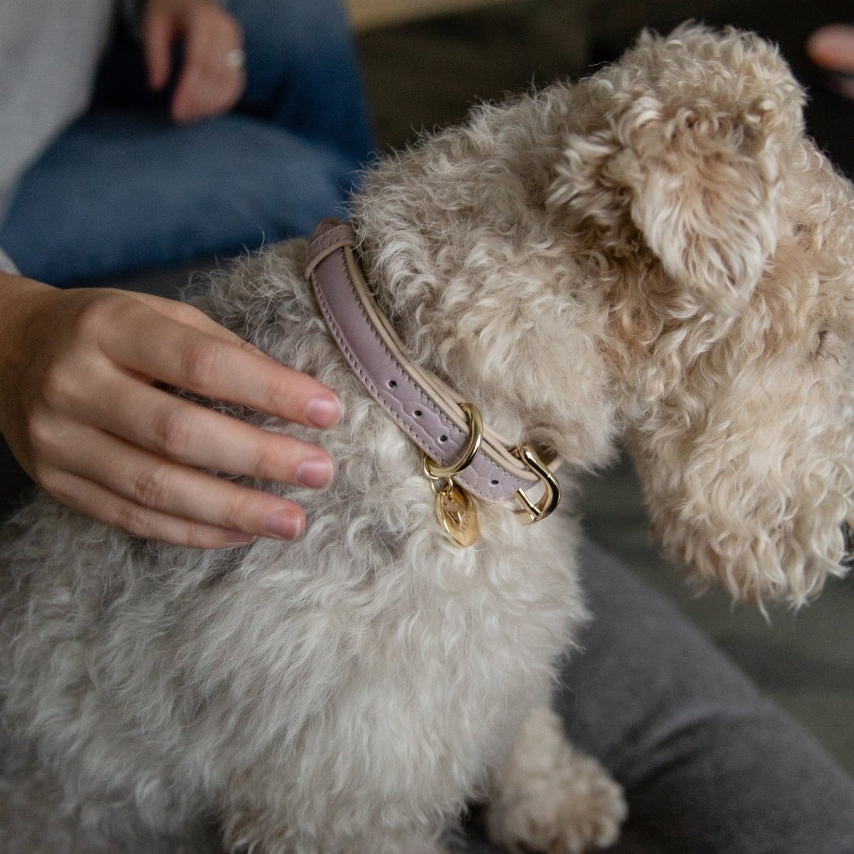 Vegan Leather Collar