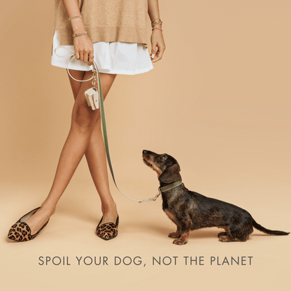 Nina Woof Copenhagen Vegan Leather Dog Collar - additional product image 13