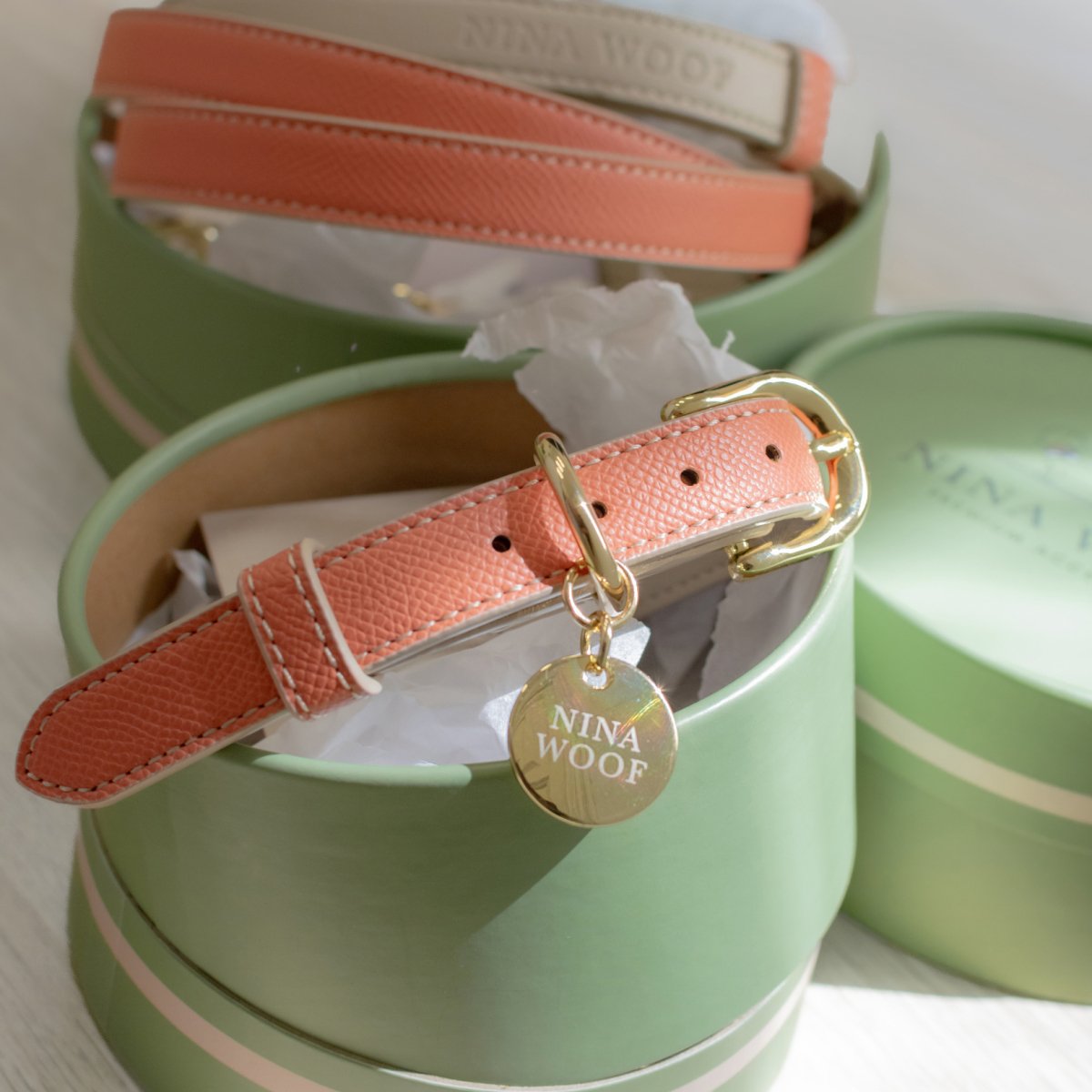 Nina Woof Rio Vegan Leather Dog Collar - additional product image 6