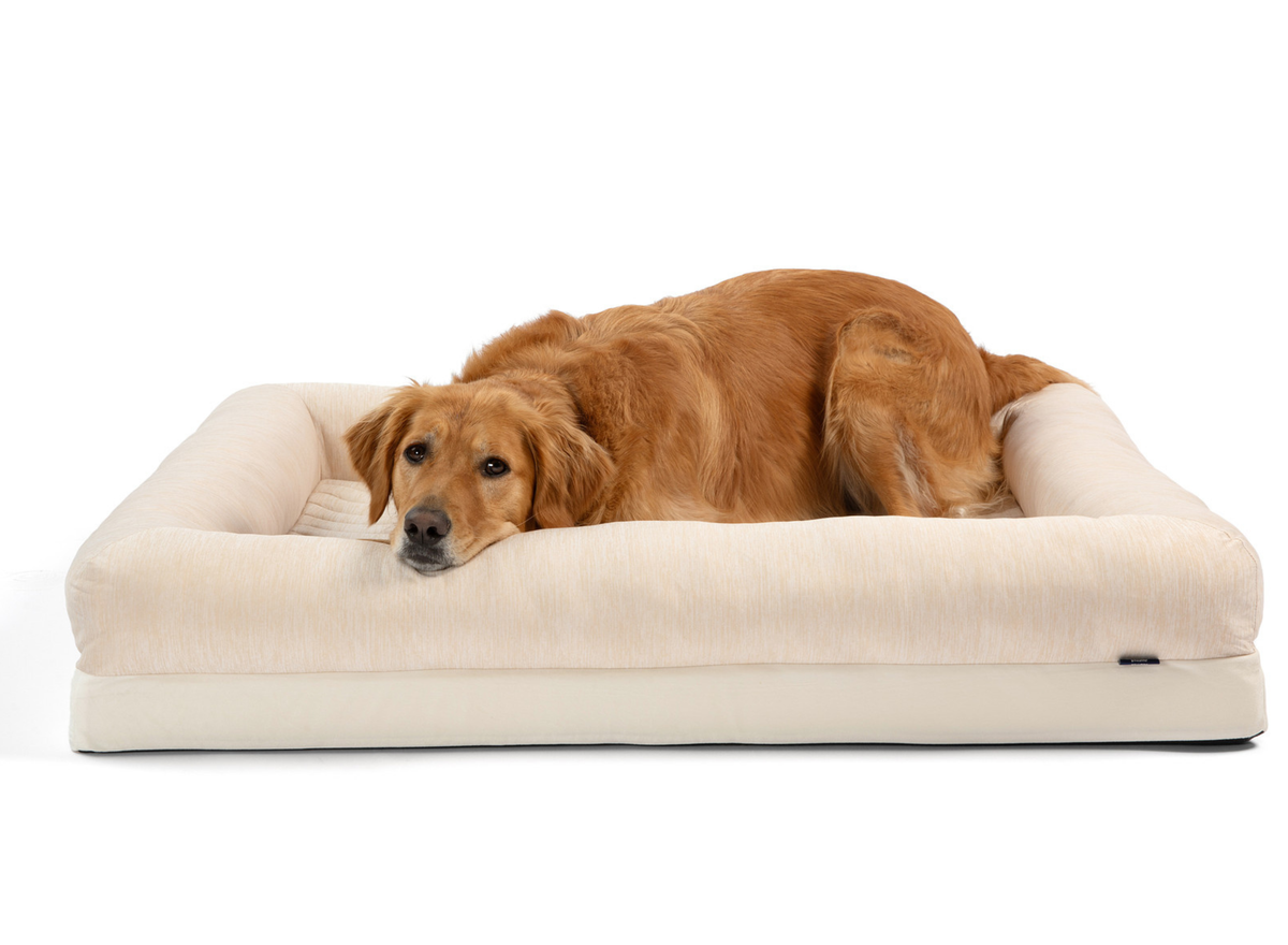 Foto de PupChill™ Cooling 4-Bolster Dog Bed - Arctic Sand en uso, vista 5