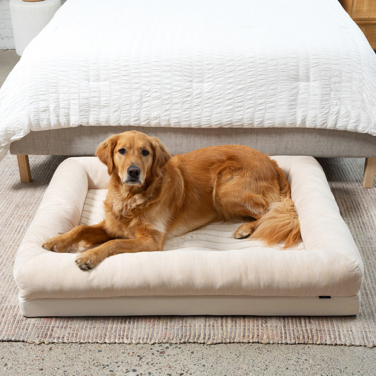 Foto de PupChill™ Cooling 4-Bolster Dog Bed - Arctic Sand en uso, vista 1