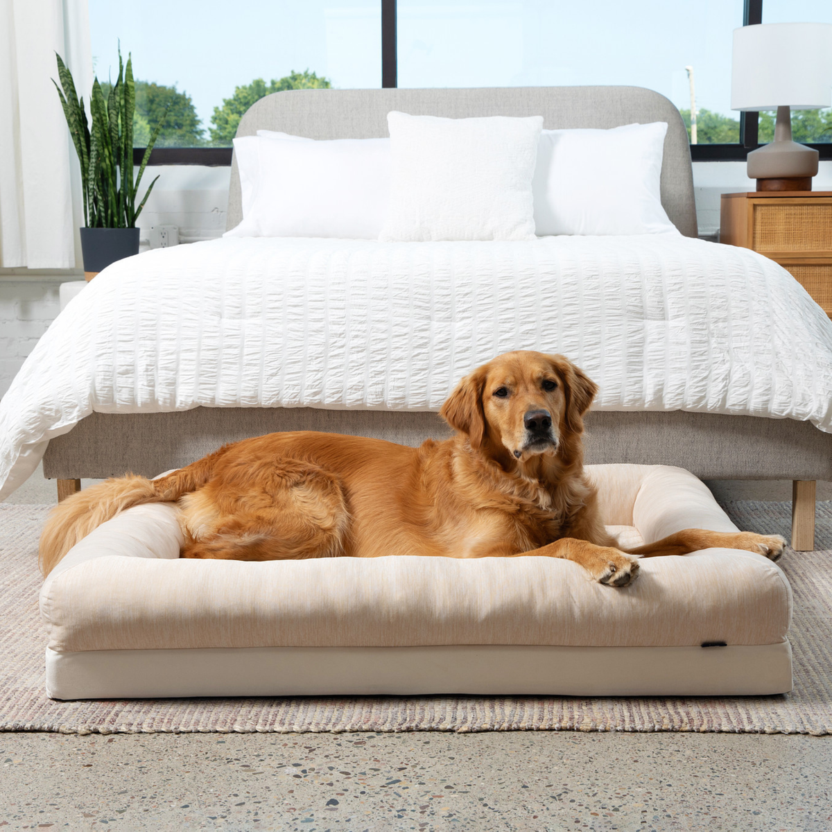 Foto de PupChill™ Cooling 4-Bolster Dog Bed - Arctic Sand en uso, vista 3