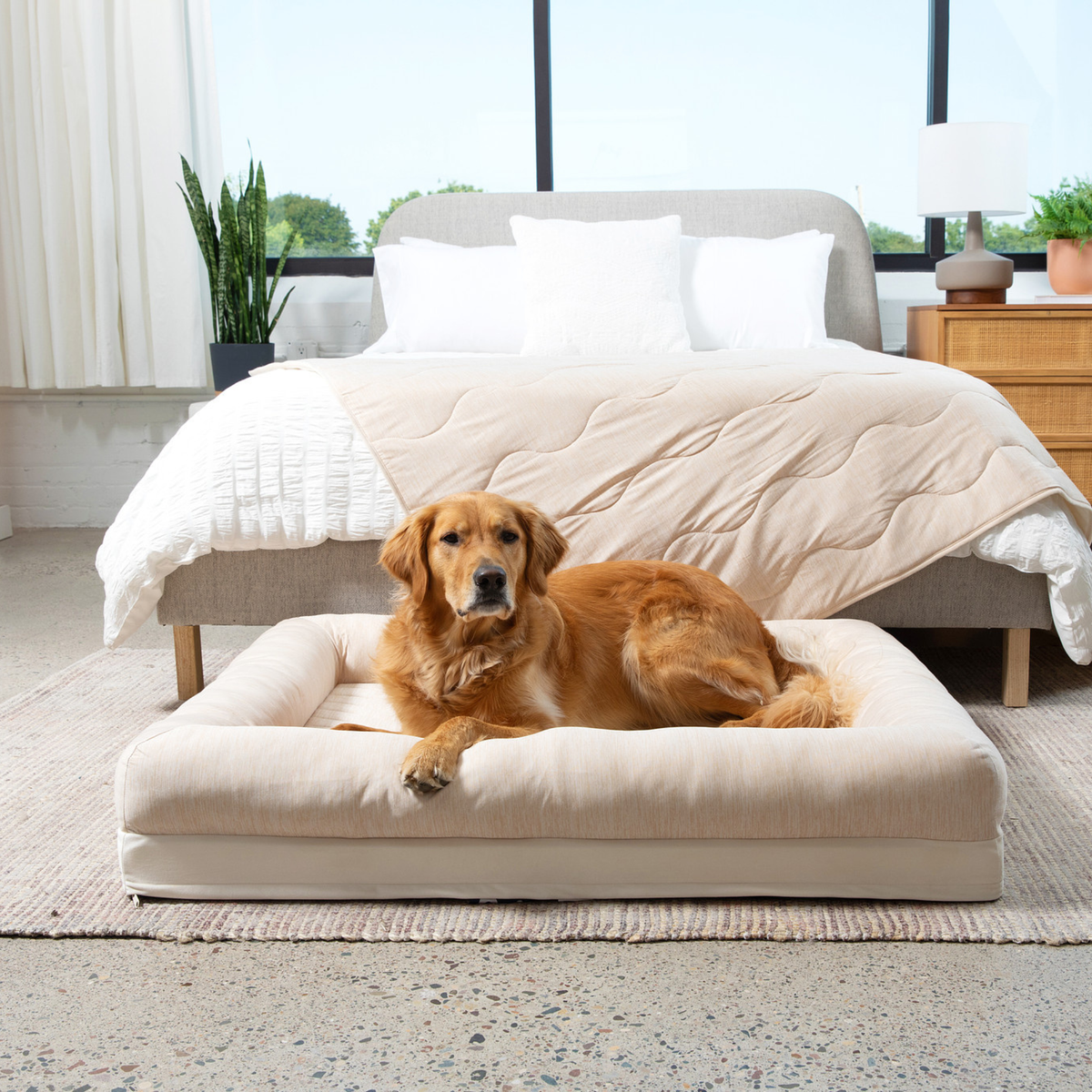 Foto de PupChill™ Cooling 4-Bolster Dog Bed - Arctic Sand en uso, vista 4