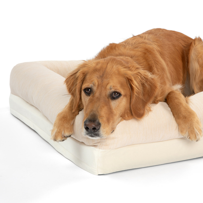 Foto de PupChill™ Cooling 4-Bolster Dog Bed - Arctic Sand en uso, vista 2