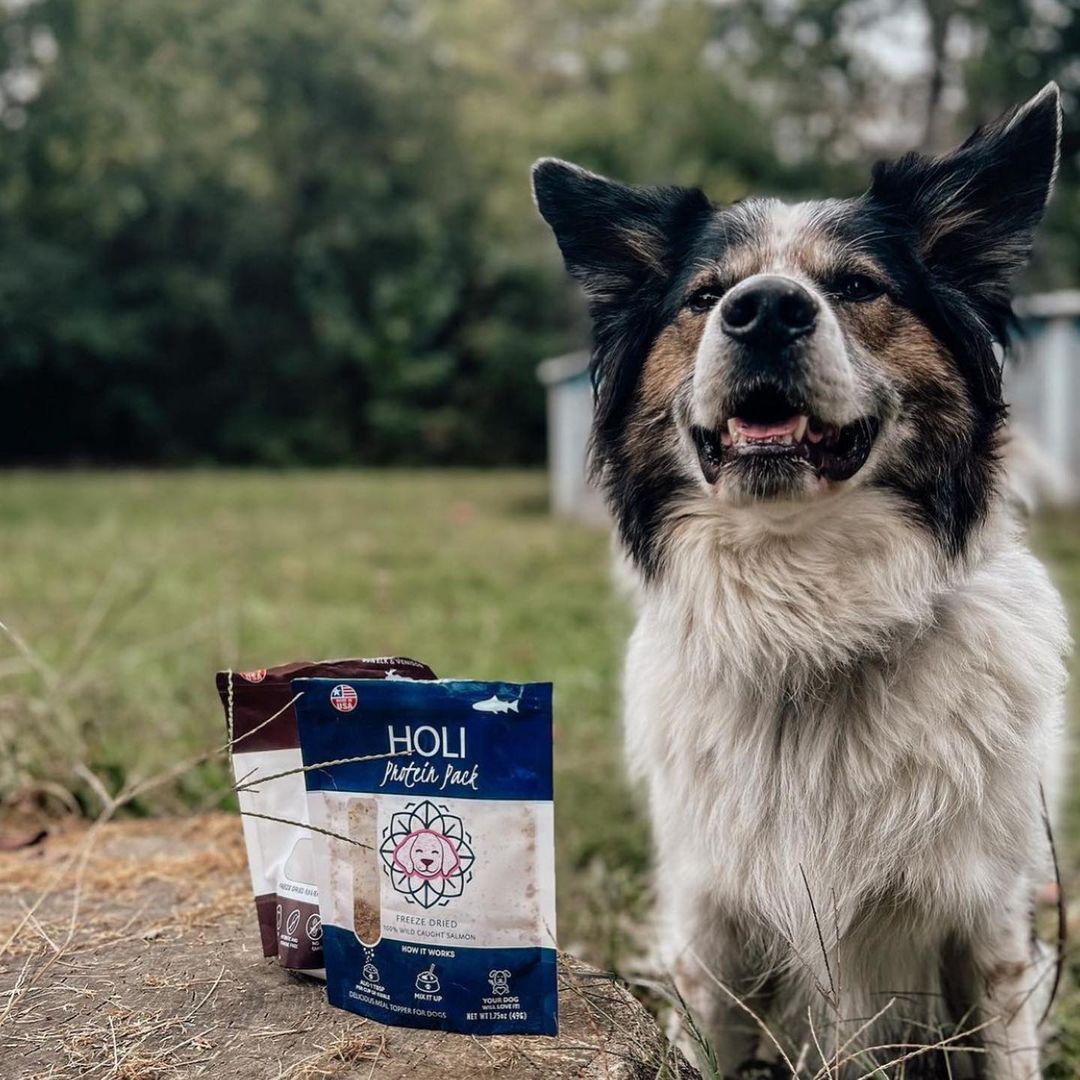 Dog pictured with HOLI Elk & Venison Dog Treats