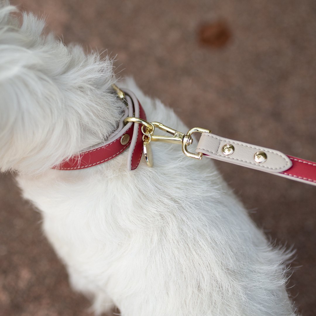 Nina Woof Copenhagen dog leash product detail