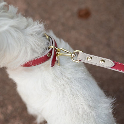 Nina Woof Copenhagen dog leash product detail