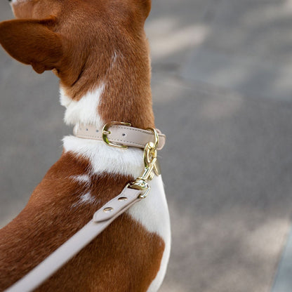 Nina Woof Copenhagen Vegan Leather Dog Collar - additional product image 5