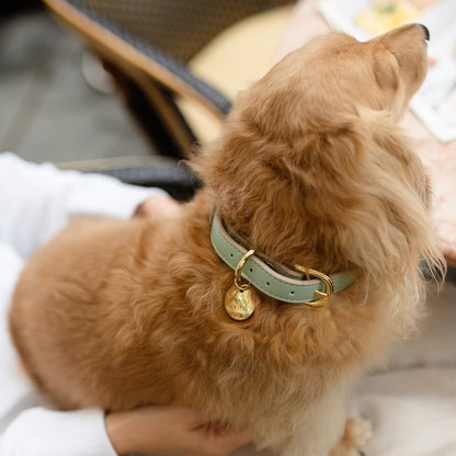Nina Woof Copenhagen Vegan Leather Dog Collar - additional product image 14
