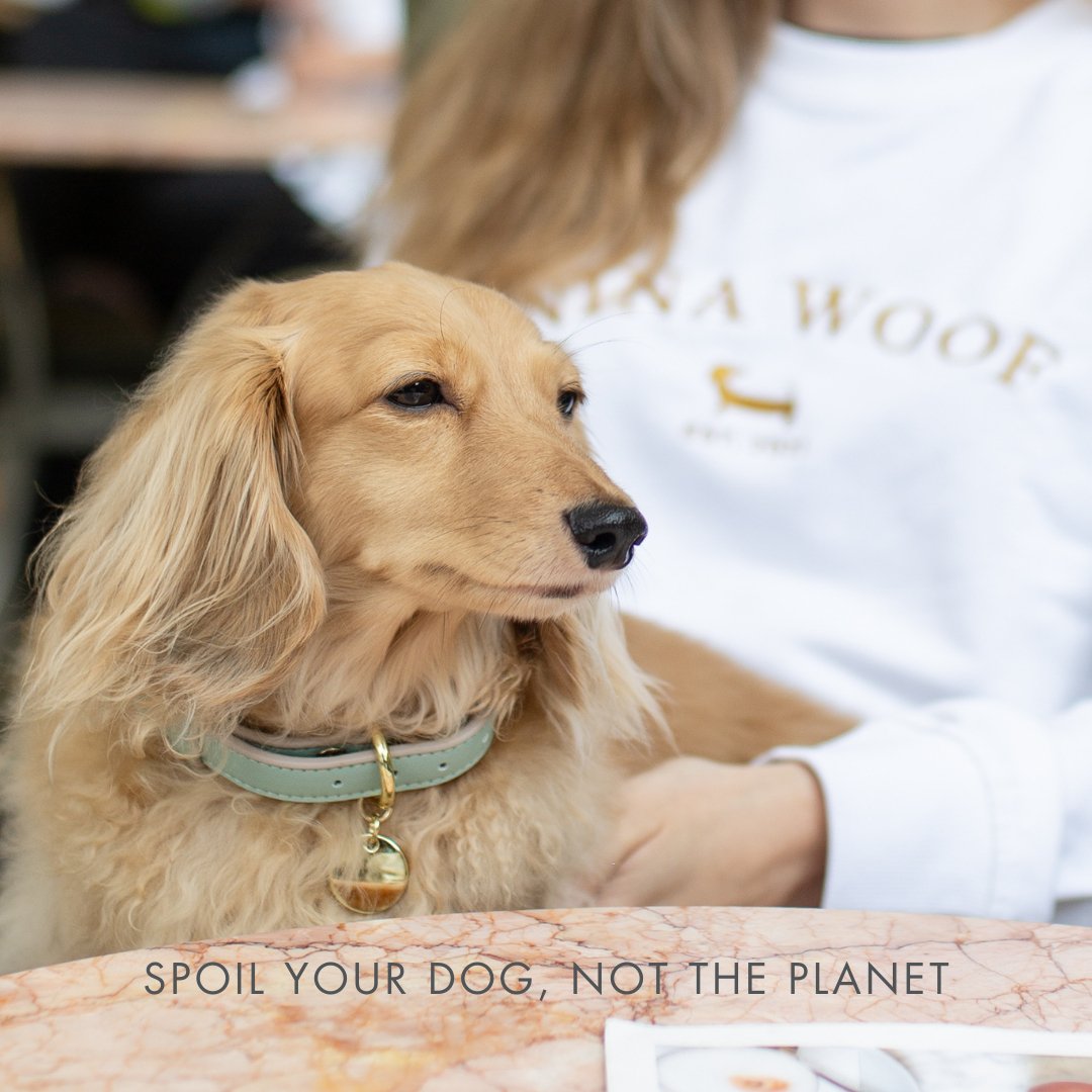 Nina Woof Copenhagen Vegan Leather Dog Collar - additional product image 15