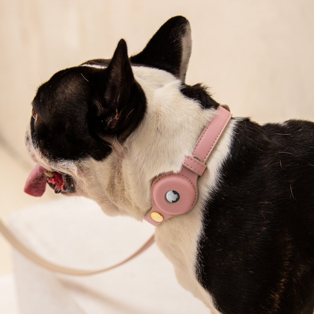 Vegan Leather Collar - Cupertino - AirTag Enabled