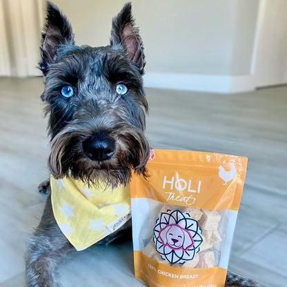 Dog pictured with HOLI Freeze-Dried Chicken Breast Dog Treats