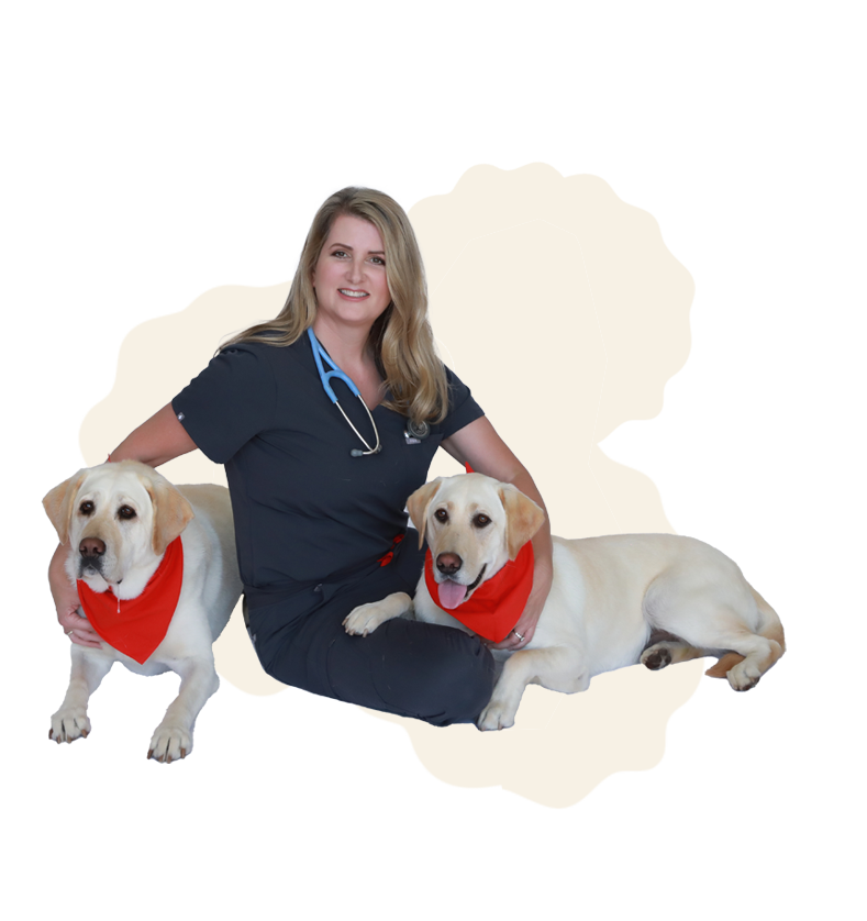 Dr. Leah Hill with Pet Vet First Aid Guide - Spiral Bound