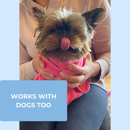 Small dog wearing a Calm & Cozy pet care wrap