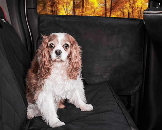 Vista del producto PupProtector™ protectores para puertas de auto – paquete de 2, vista 1
