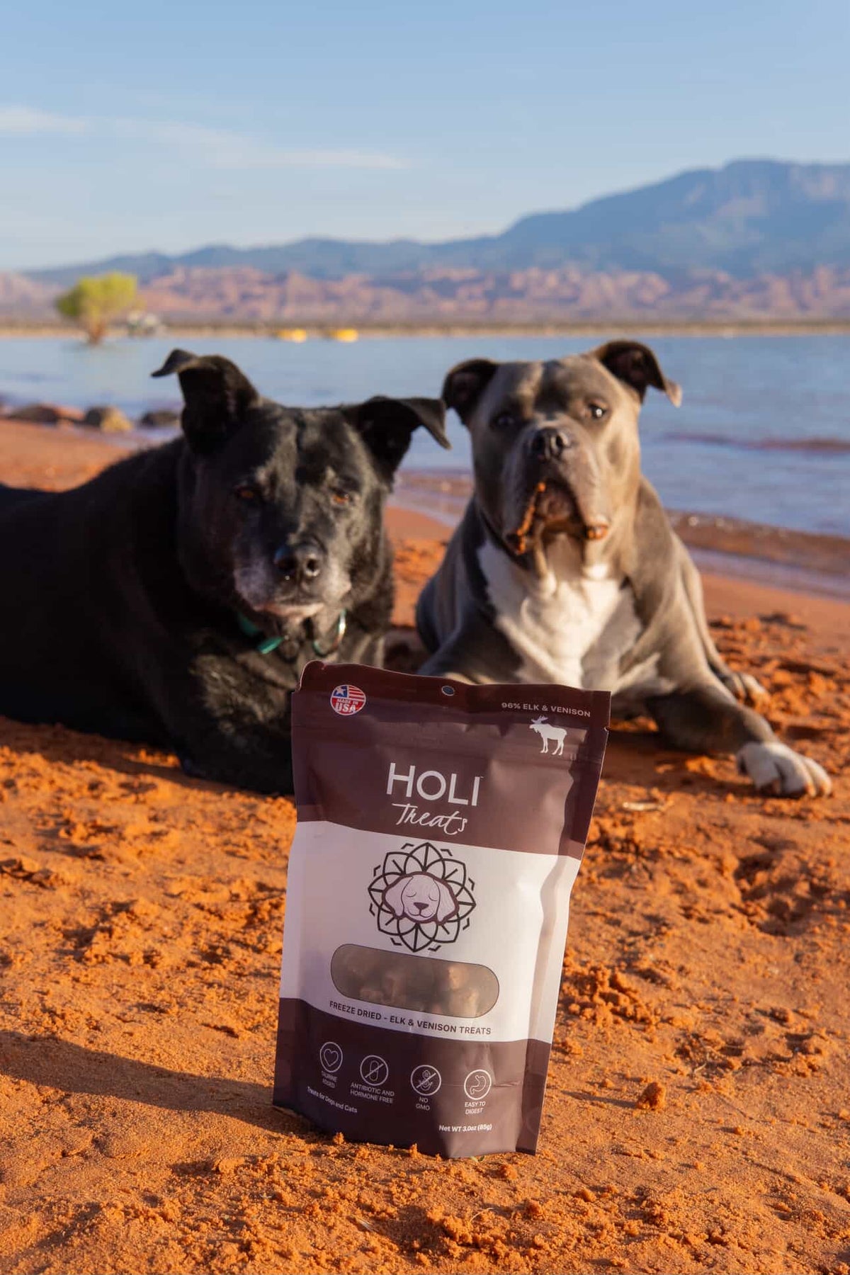 Dog pictured with HOLI Elk & Venison Dog Treats