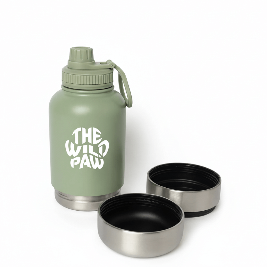 WildSip 3-in-1 Hydro Flask - Green with detachable bowls separated