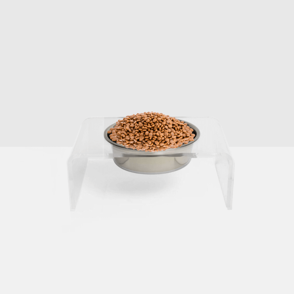 Clear single feeder with a silver bowl filled with food