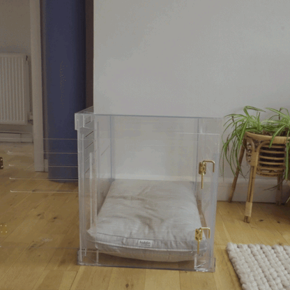 Hiddin Medium Clear Pet Crate cushion demonstration