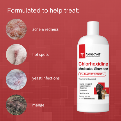 Chlorhexidine 4% Medicated Shampoo for Dogs & Cats by SensoVet - product detail image 3