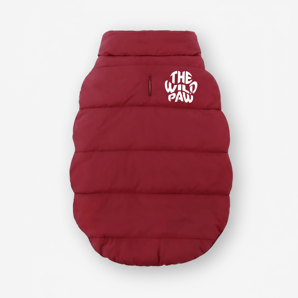 Primary product view of Furline Coat - Maroon by The Wild Paw