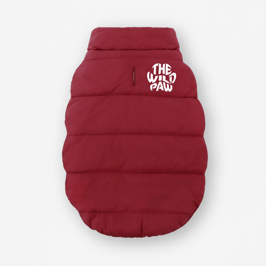 Primary product view of Furline Coat - Maroon by The Wild Paw