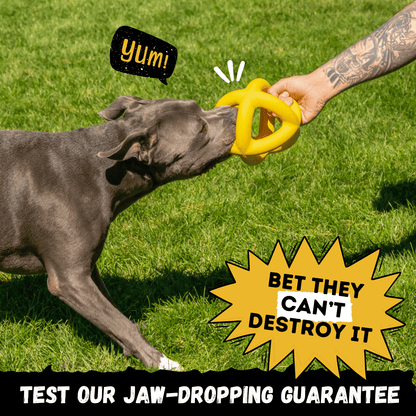 Monster K9 Giant Halo Ball rubber dog toy feature image