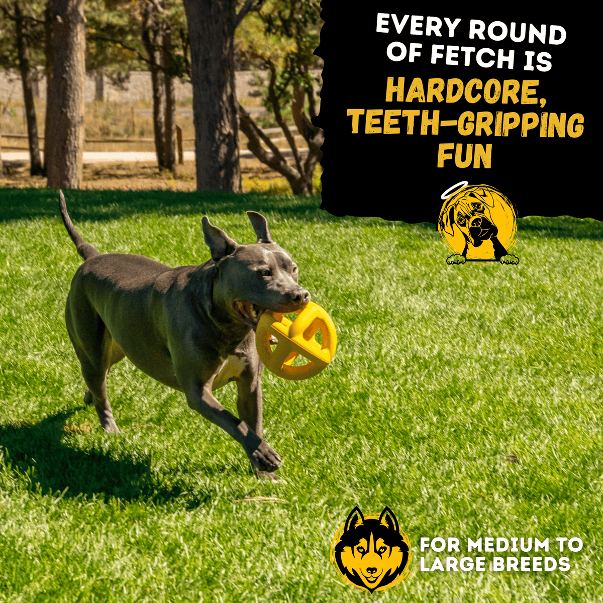 Monster K9 Giant Halo Ball dog toy lifestyle image