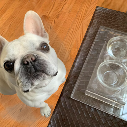 Clear Double Glass Bowl Feeder