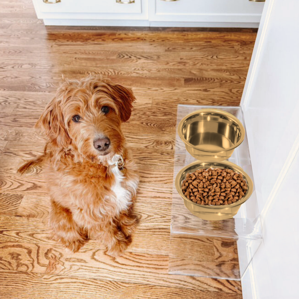 Dog beside the tall clear double gold feeder