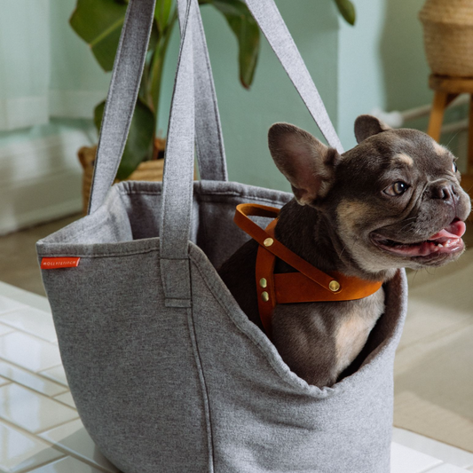 Molly & Stitch - Alpine Dog Carrier (Grey)