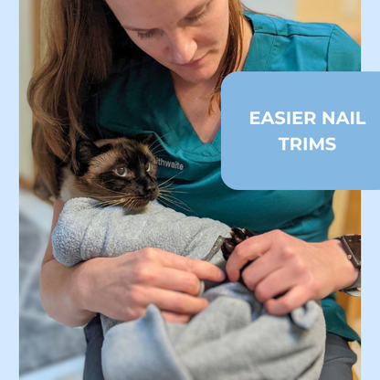 Cat wearing a grey Pro Cat Wrap during a nail trim