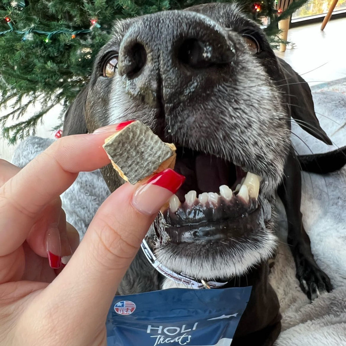 Additional view of Wild Caught Salmon Dog Treats